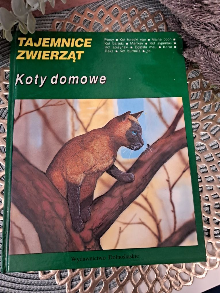 Tajemnice zwierząt koty domowe