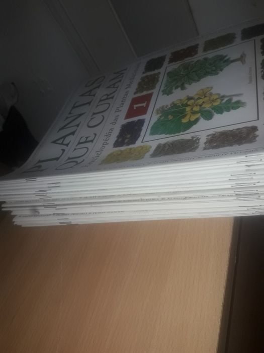 Enciclopédia  Plantas que Curam