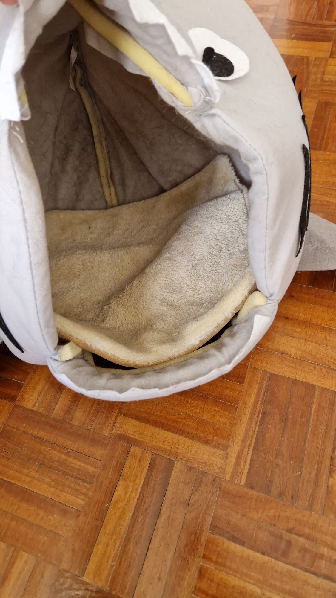 Cama de gato ou cão peixe tubarão