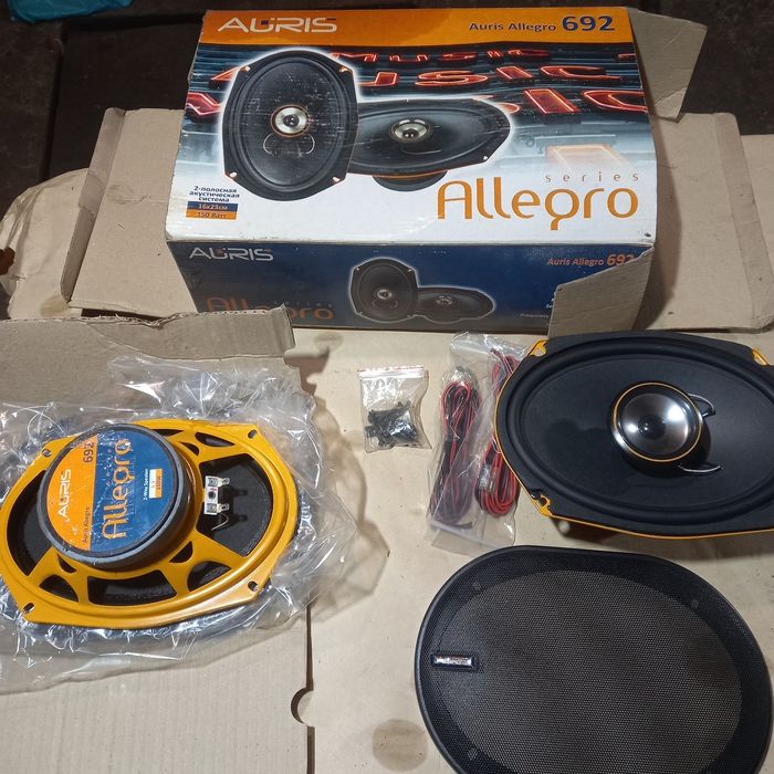 Колонки Auris Allegro 692