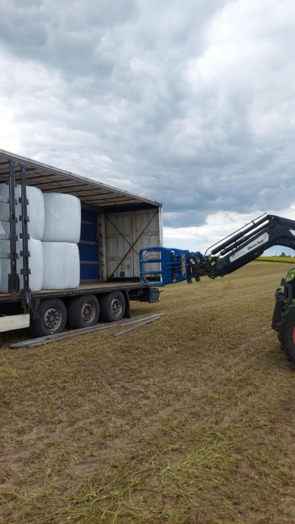 Czysta lucerna bele 130cm cena z transportem
