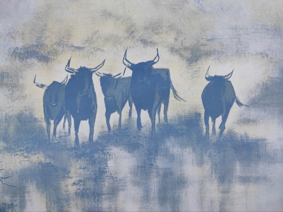 Stara grafika Sygnowana Byk, bawoły