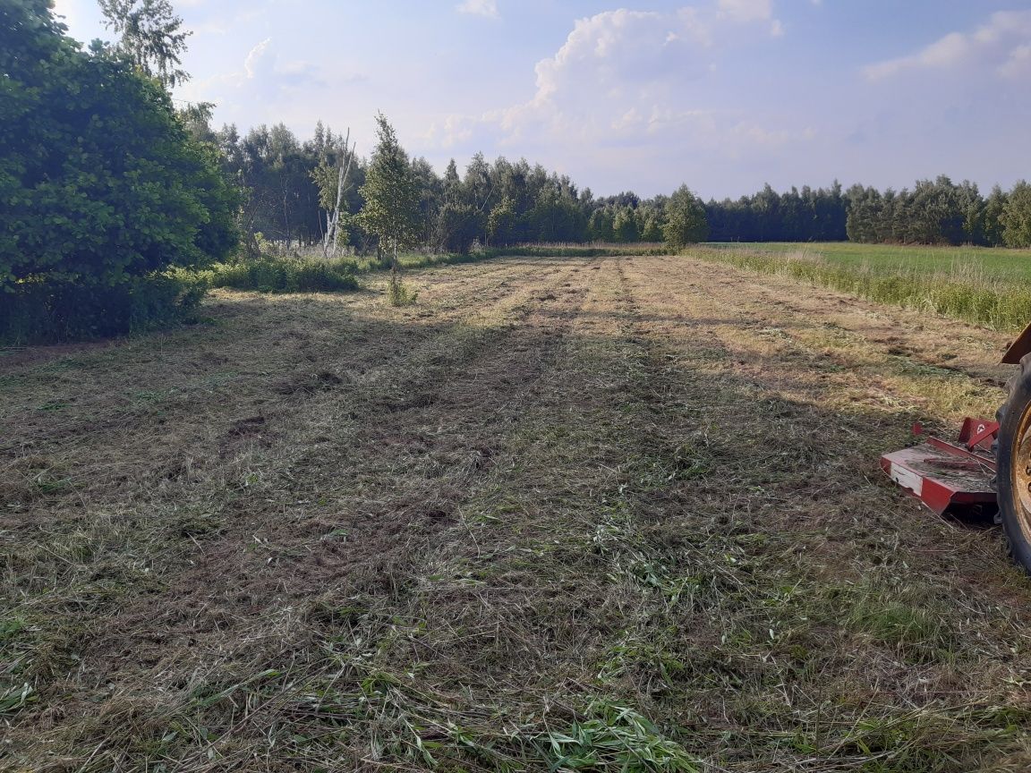 Koszenie trawników, karczowanie nieużytków, sadów, działek