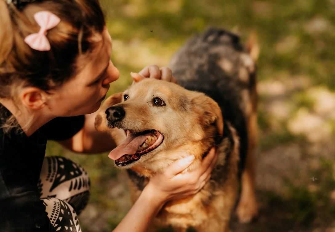 Przesympatyczny seniorek Fifi poleca się do adopcji!!!