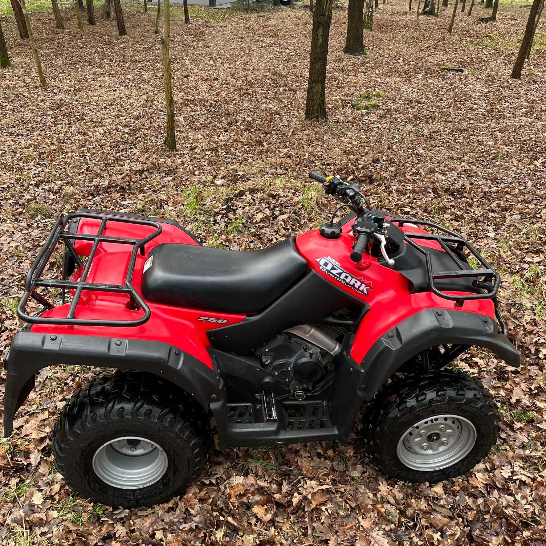 Quad Suzuki Ozark 250