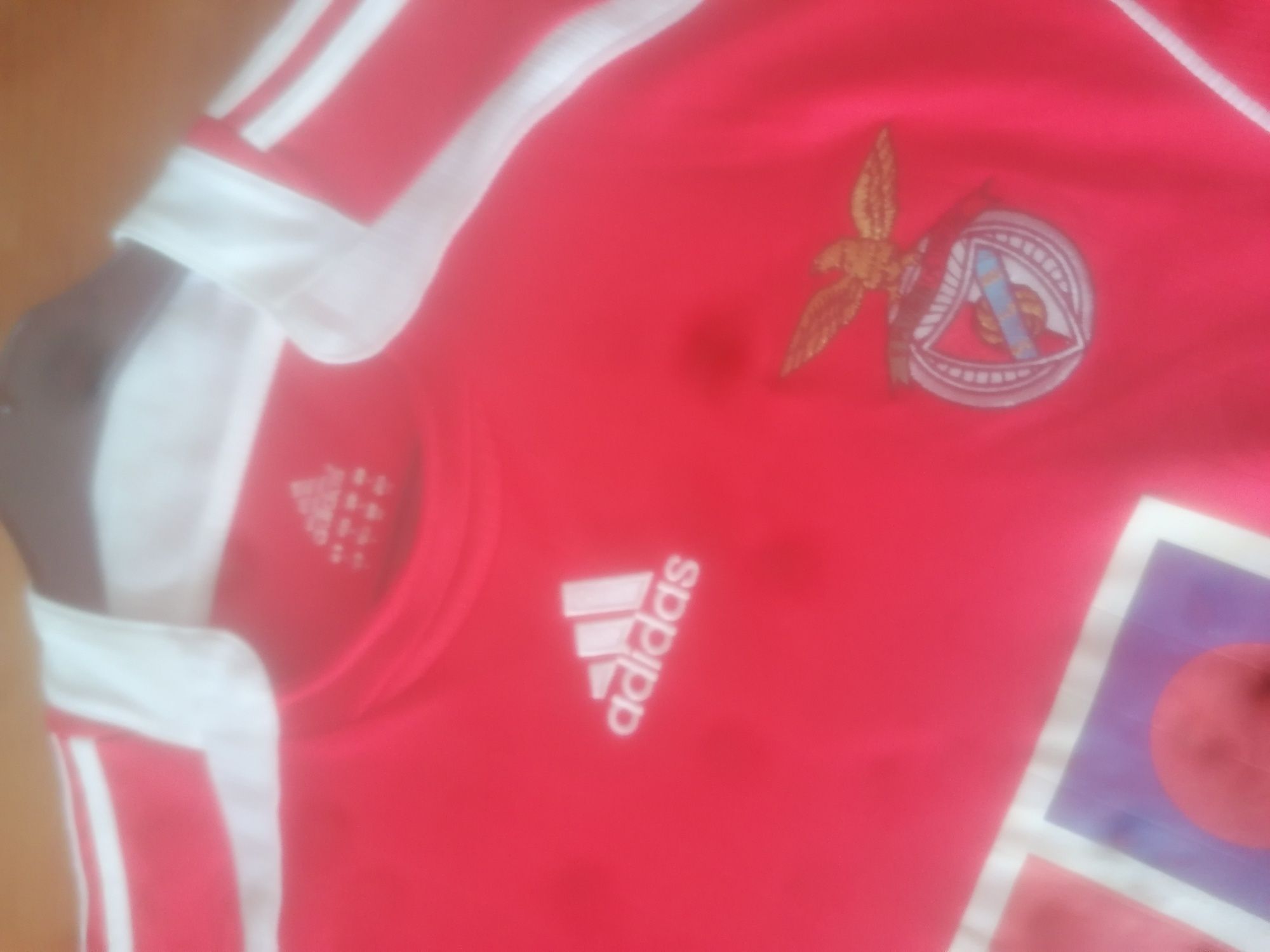 Camisola Benfica epoca 06/07