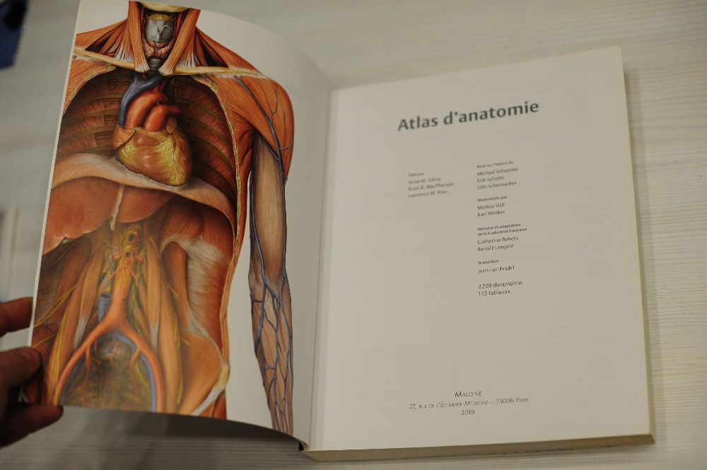 Атлас анатомии человека на французском atlas d'anatomie MALOINE 2010