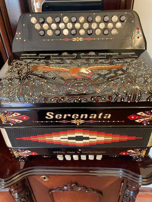 Concertina Serenata - Pouco usada - Ponte de Lima