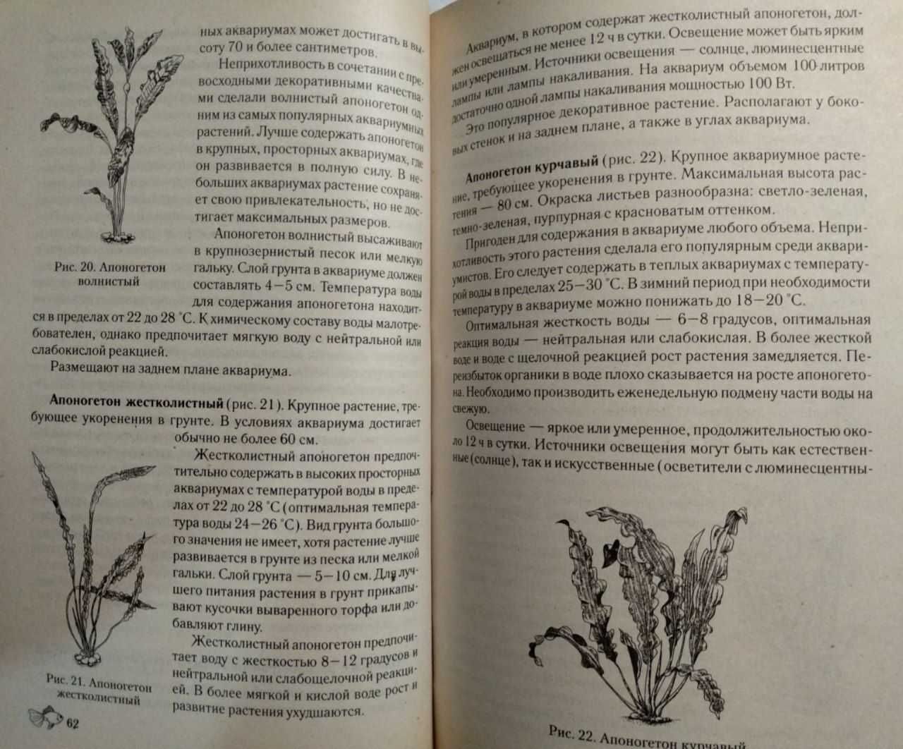 Аквариум. Заселение и содержание домашнего аквариума