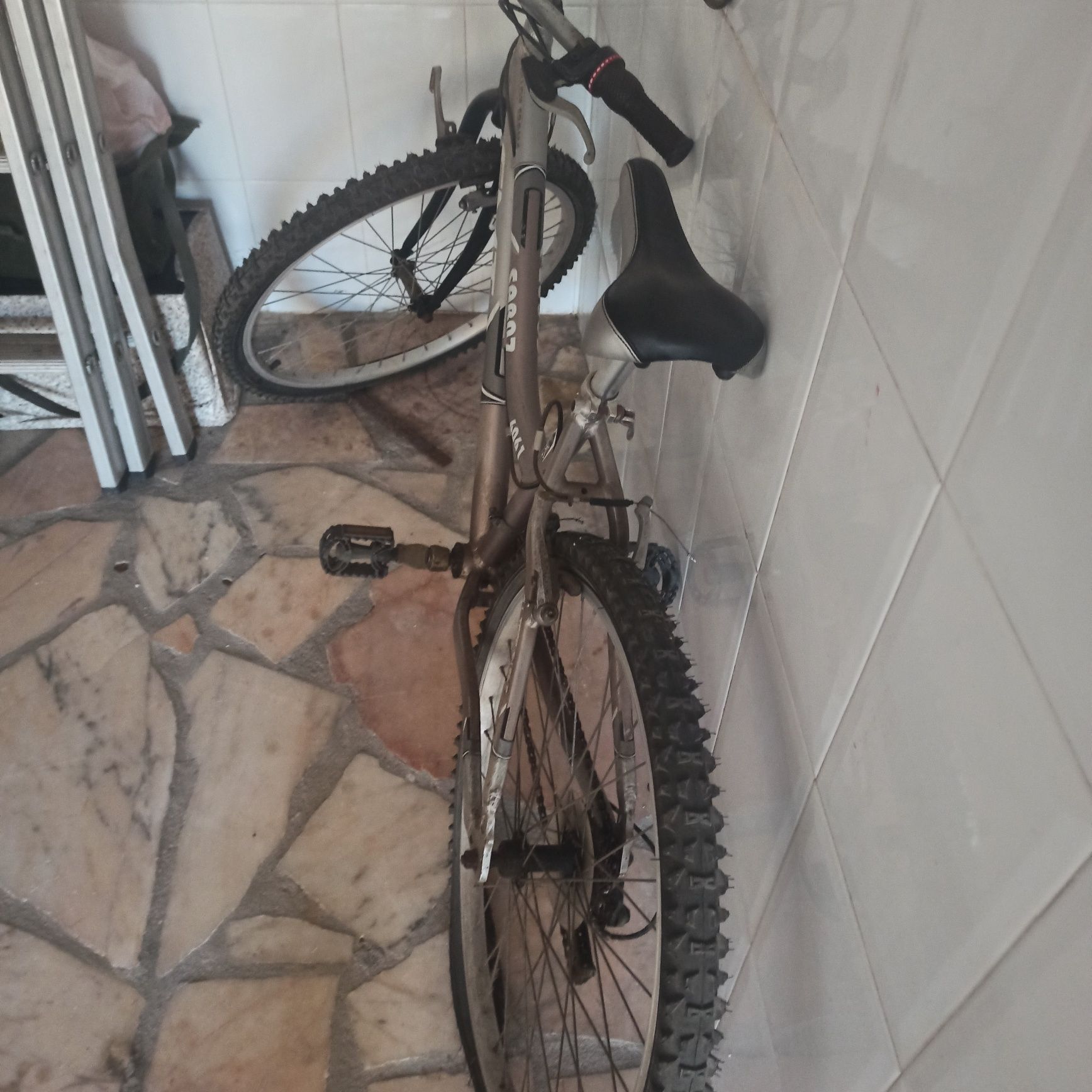 Bicicleta pouco uso