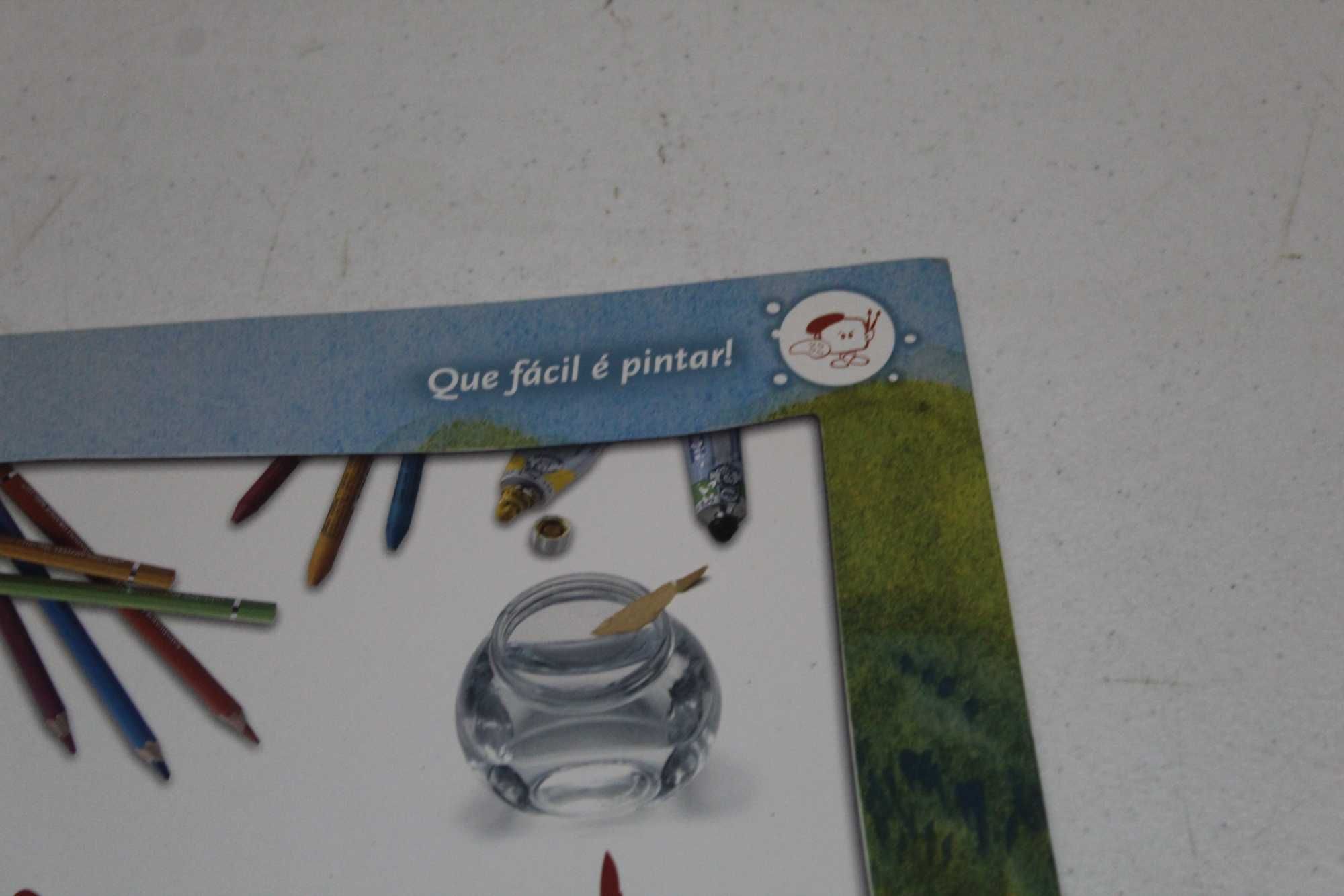 Aguarelas - Que fácil é Pintar!