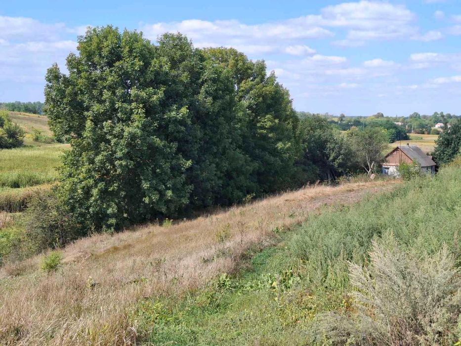 Продам Окремий Будинок на Березі Річки