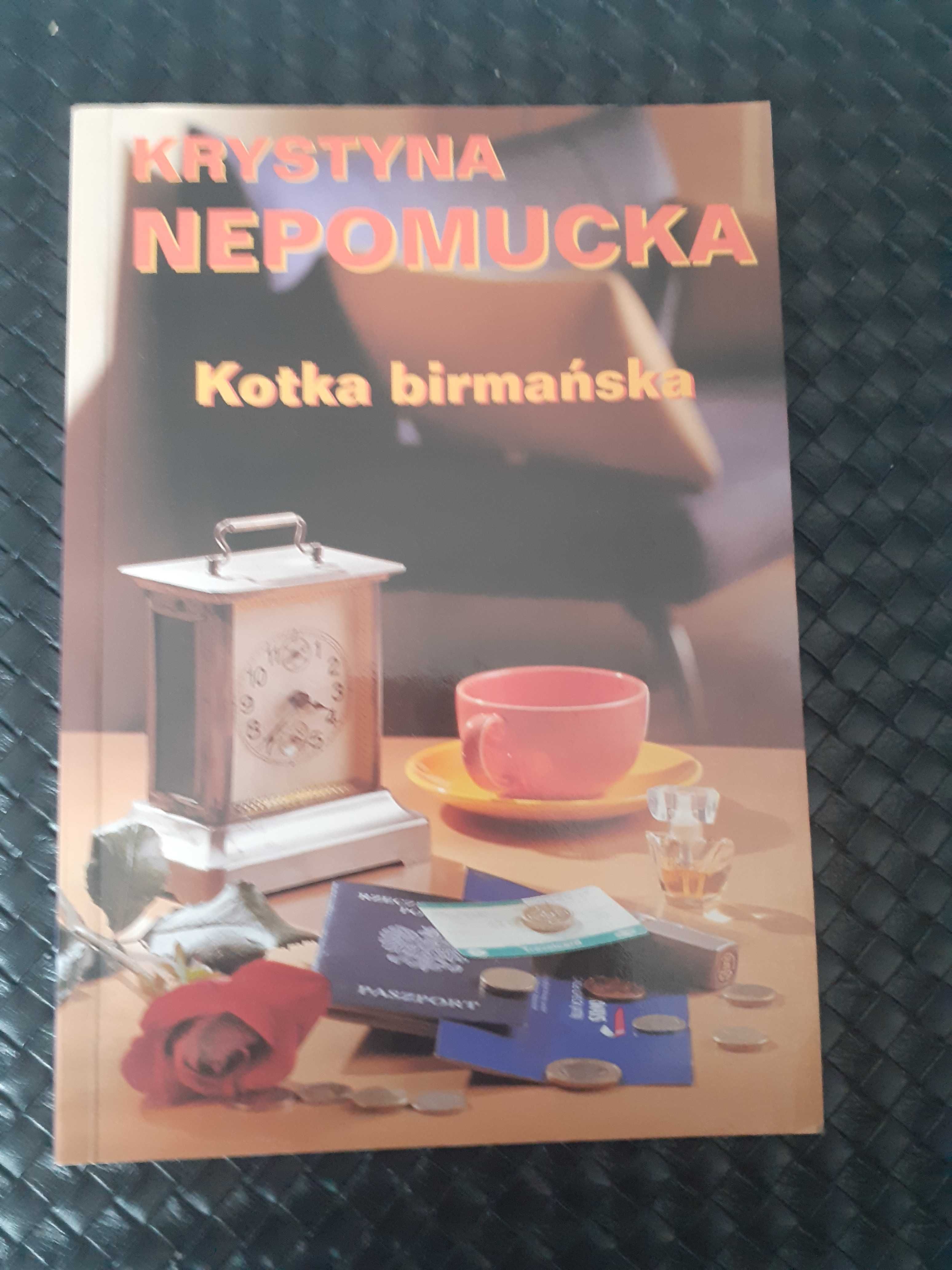 Kotka birmańska Krystyna Nepomucka