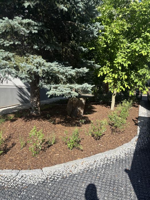 Kora ogrodowa ozdobna dowóz