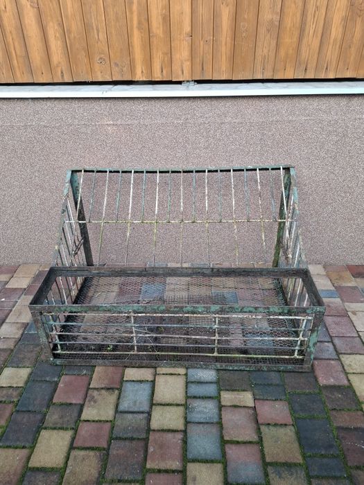 Wlot Wylot belgijski dla gołębi, ptaków 100cm