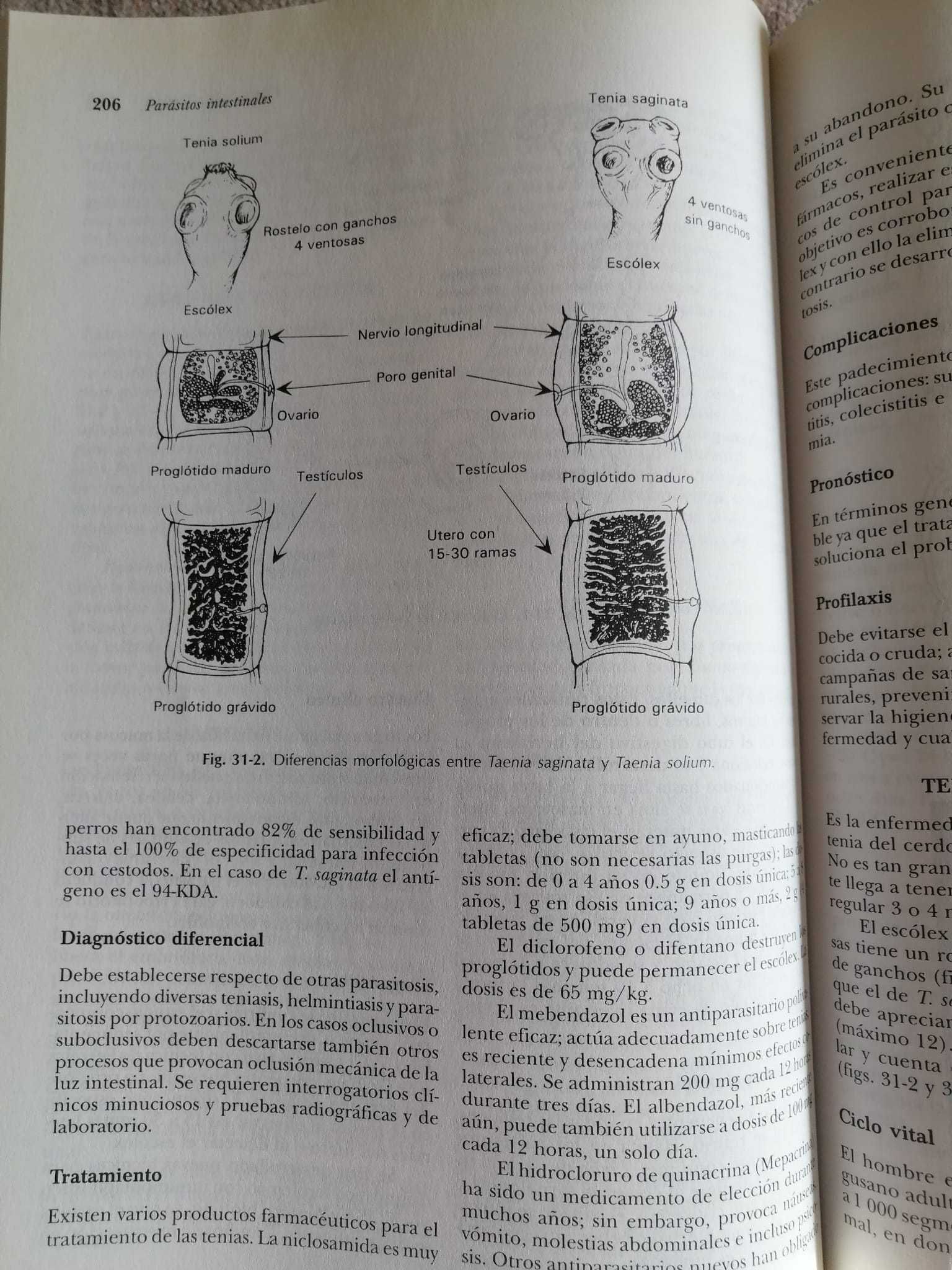 Livro Gastroenterologia, Vargas Dominguez, McGraw-Hill Interamericana