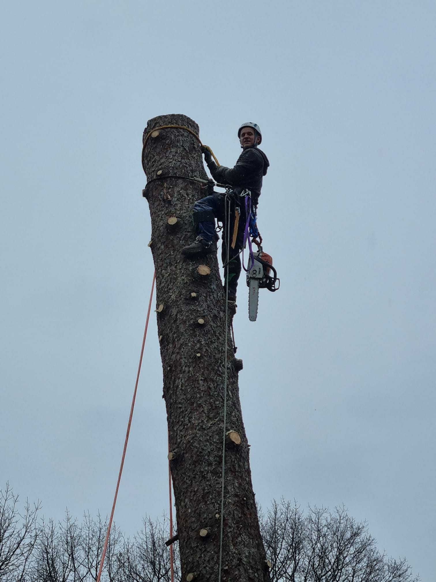 Wycinka drzew metodą Alpinistyczną. Prace wysokościowe.
