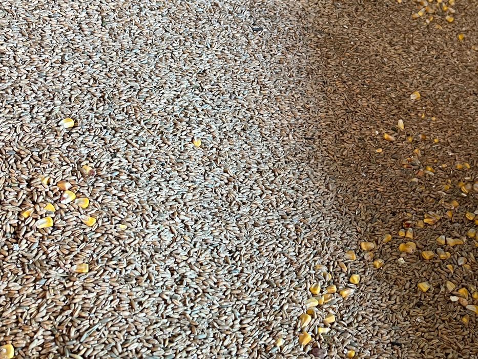 Eko Jaka swojskie z naturalnego howu bez paszy