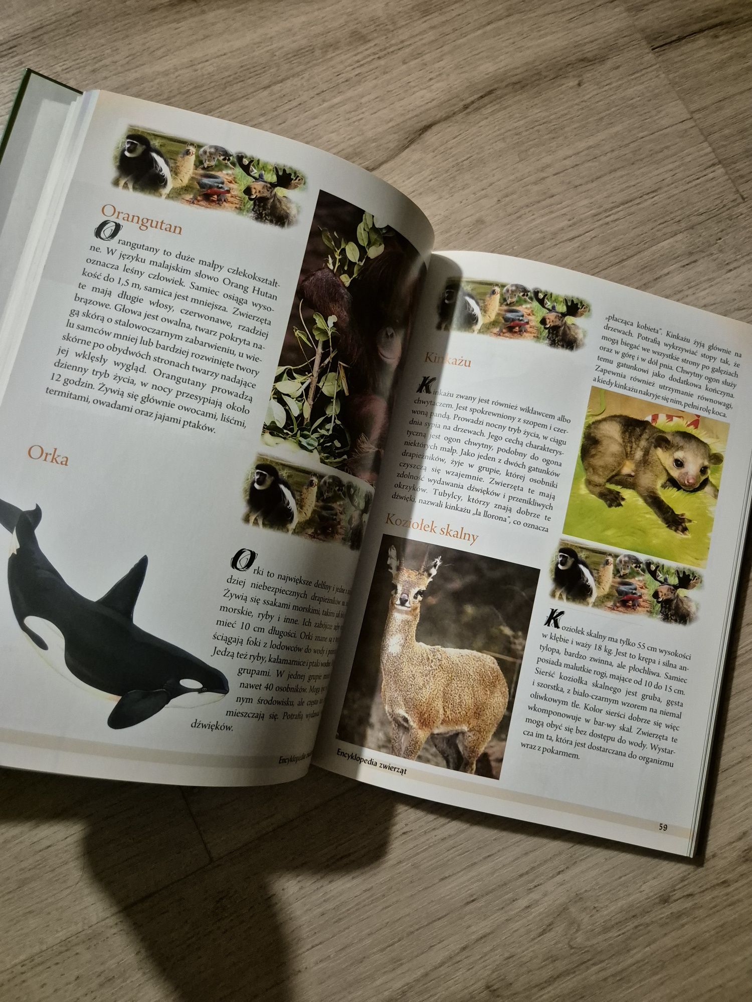 Encyklopedia zwierząt Nowa