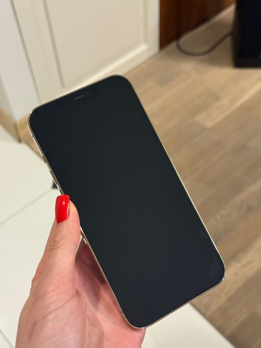 iPhone 12 Pro Max 256Gb