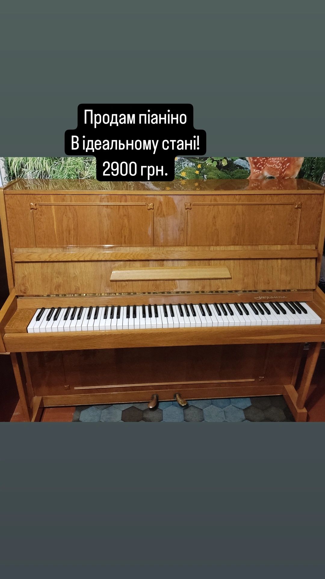 Піаніно в ідеальному стані -2900 грн.