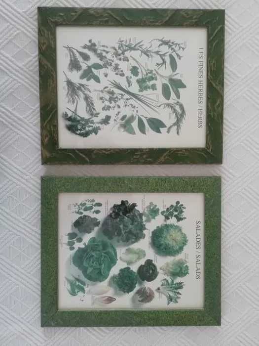 Quadros Antigos com vegetais 30x35