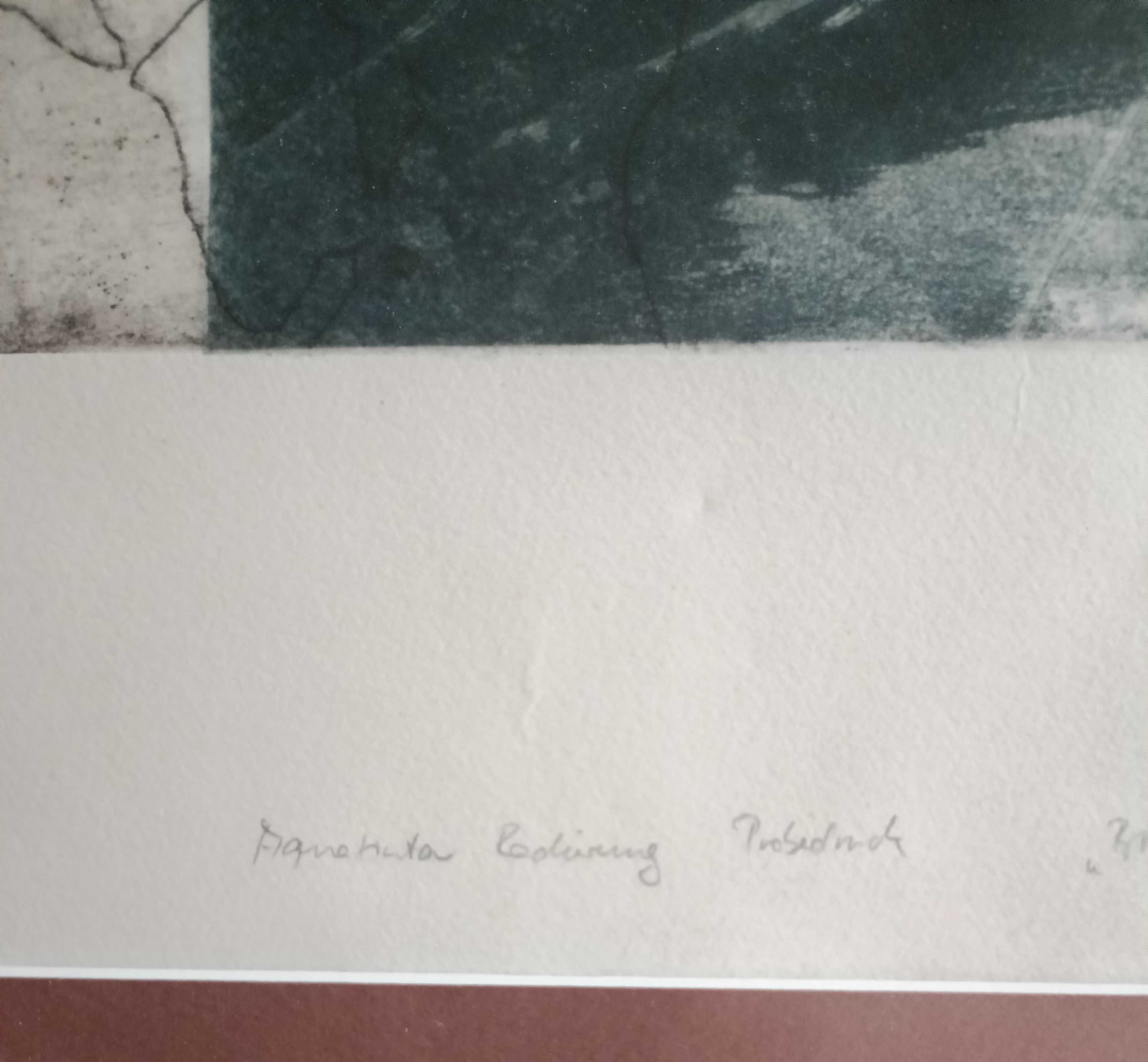 Piękna Akwatinta (grafika) Nr 3 odbitki Brunszwik