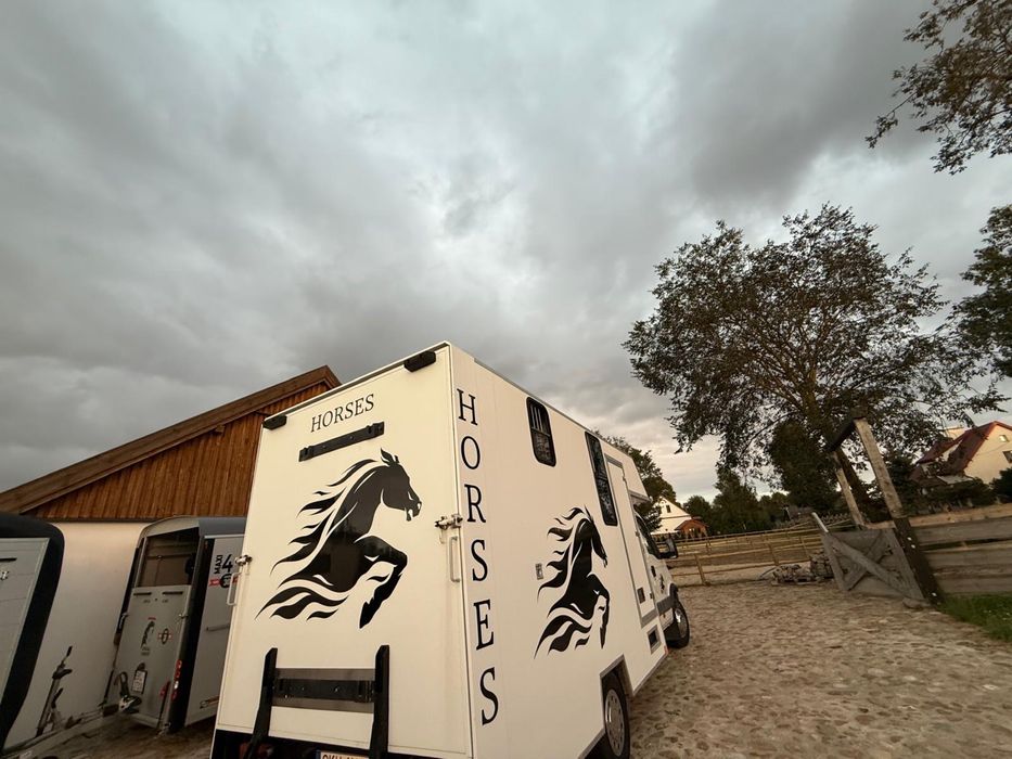 Iveco Daily  Koniowóz