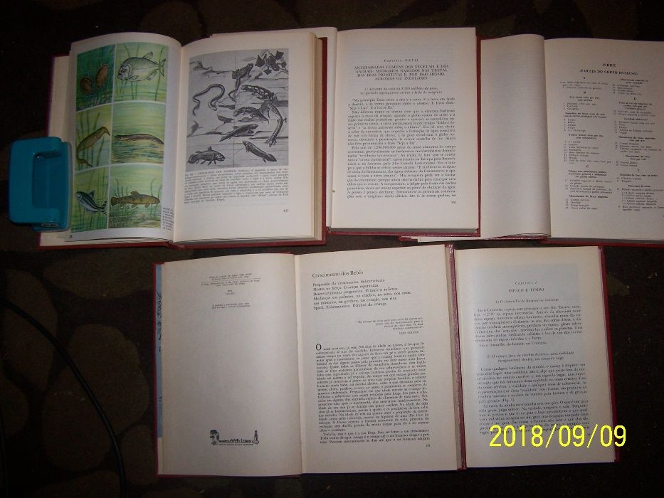 enciclopedia DA NATUREZA ,Fritz Kahn