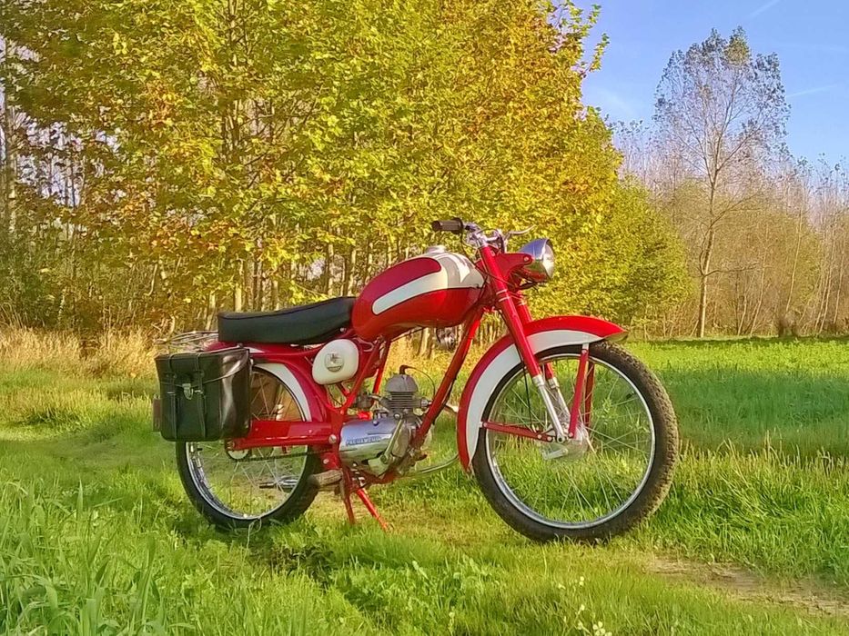 Cinal Pachancho 1958