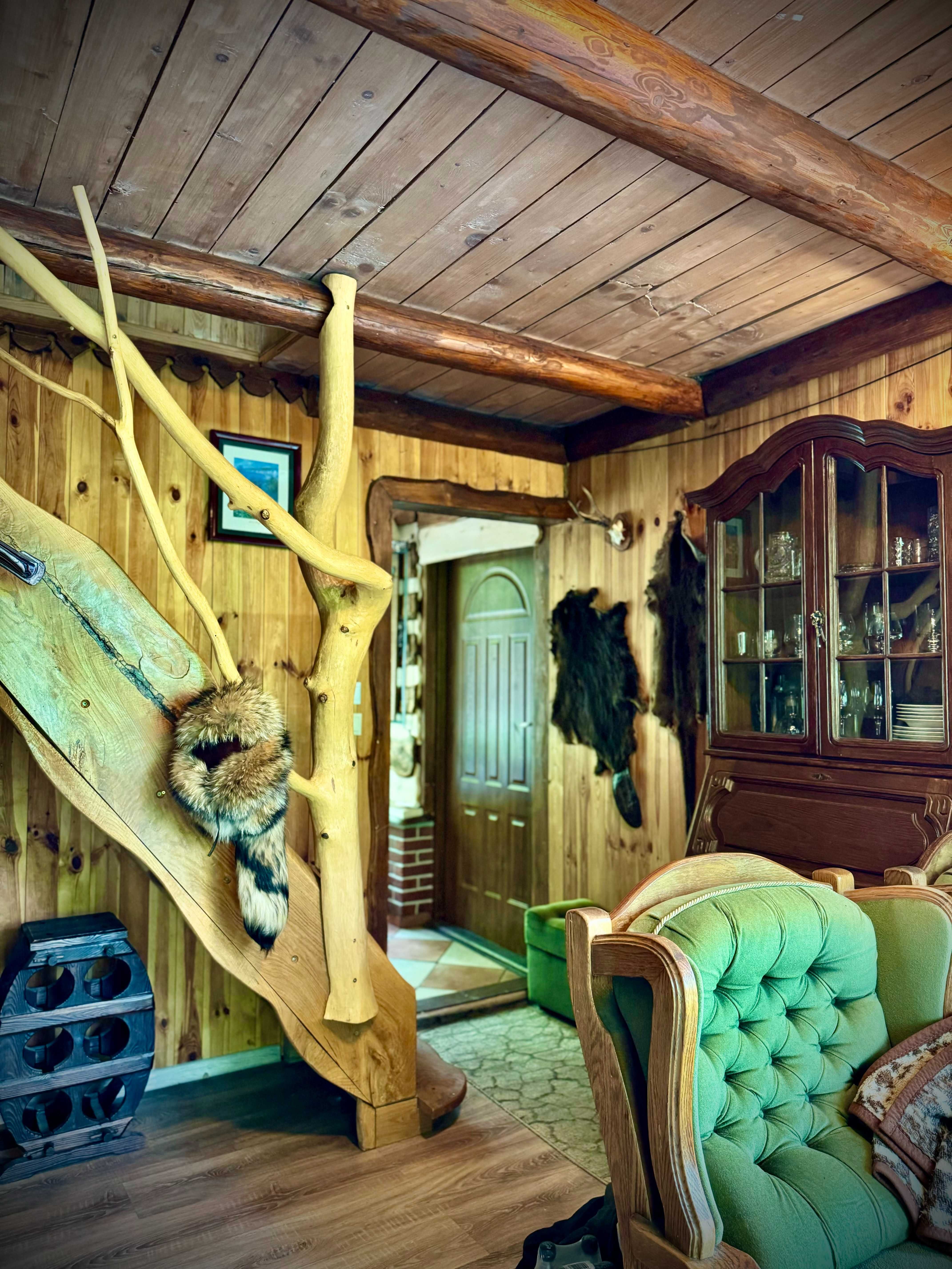 domek nad jeziorem w lesie, cisza, urlop. sauna, łowisko, grzyby,