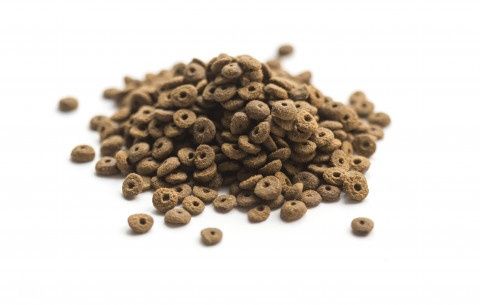 Essential Foods Jaguar Беззерновой корм для котов Все Стадии 3кг
