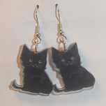 Brincos gatos pretos.