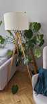 Monstera - 150cm, duża I zdrowa
