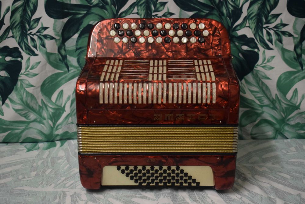 Acordeao Hohner Amati 2 Voz 48 Baixos, N 72