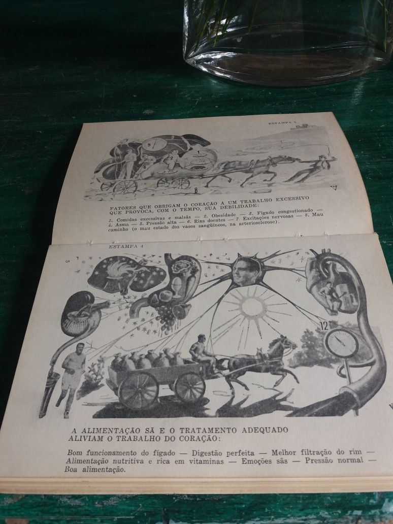 Livro "O CORAÇÃO " do. DR Vander / de  1965