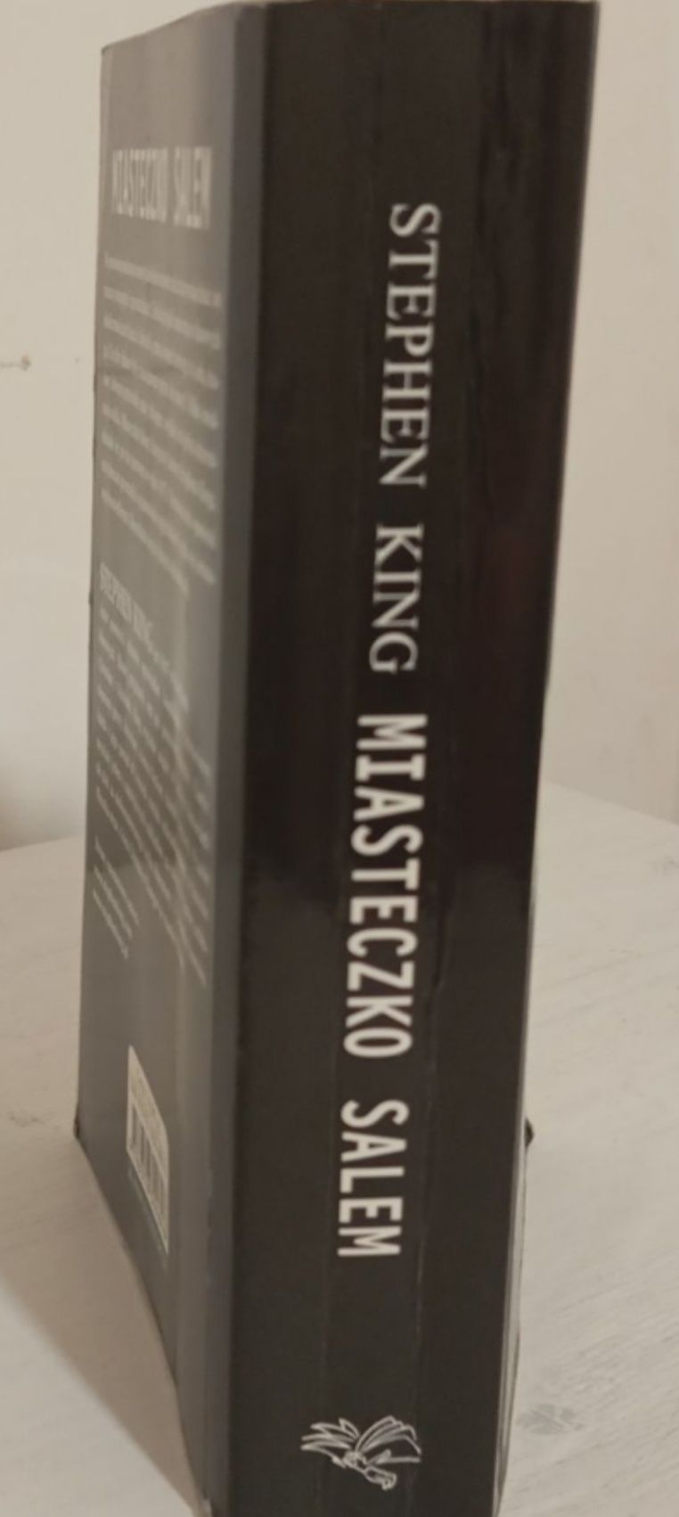 Stephen King Miasteczko Salem