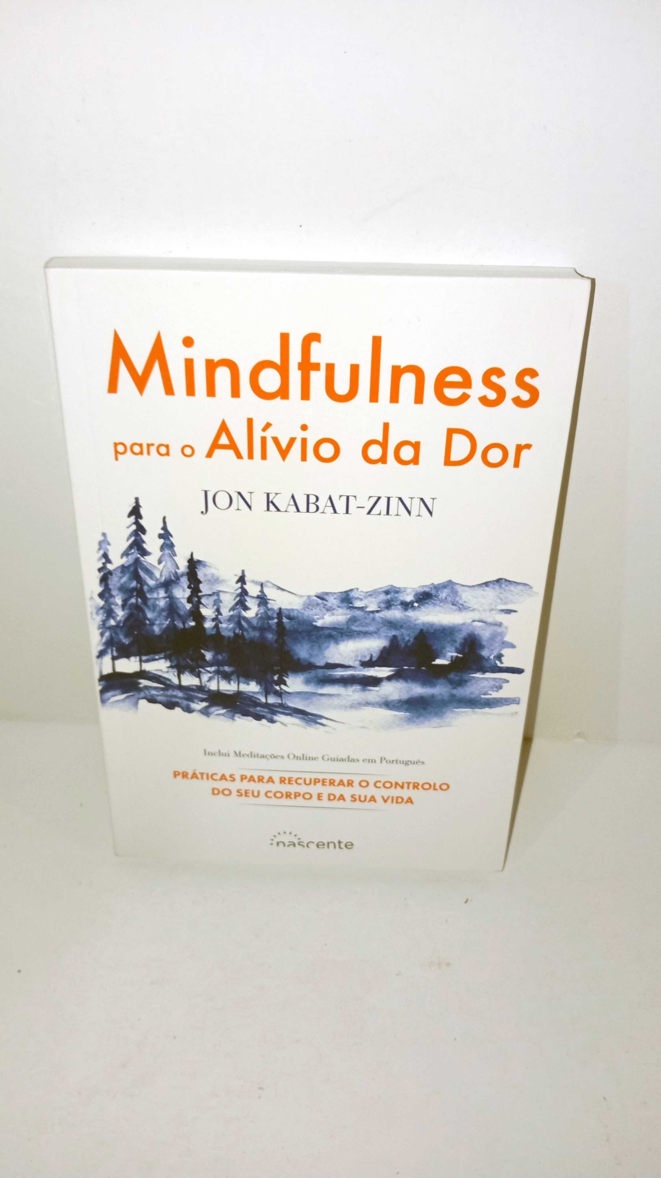 Mindfulness para o Alívio da Dor