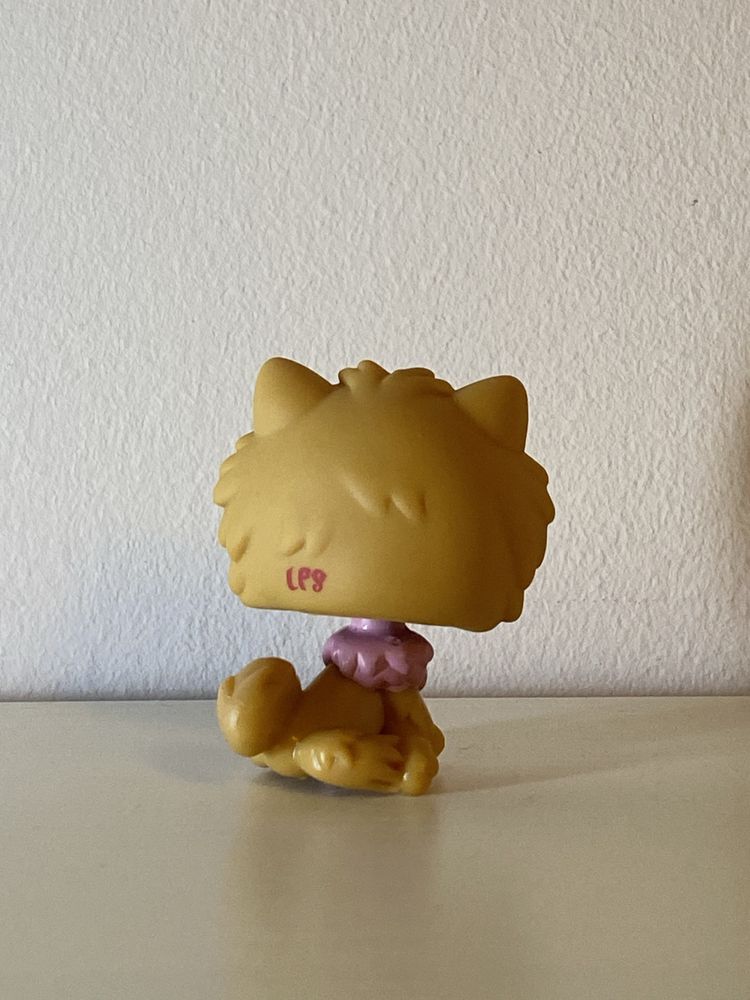 LPS #1157 chow chow