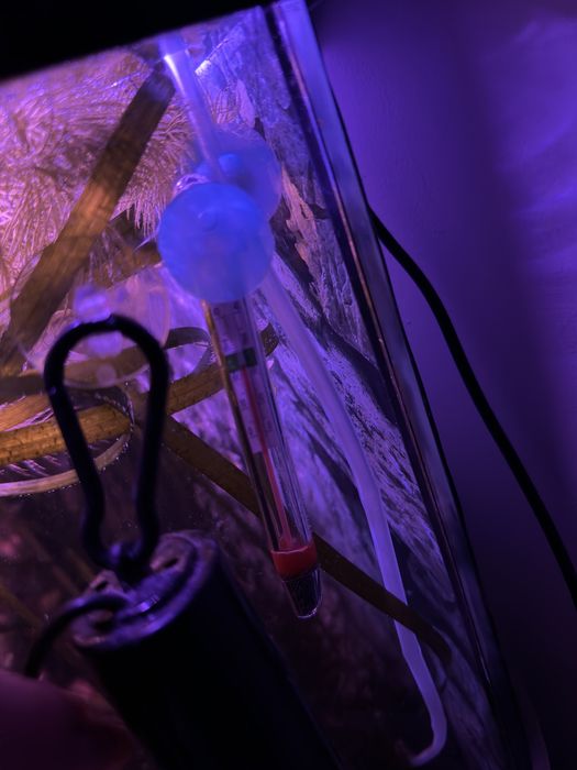 Akwarium 120 litrów - pełny zestaw z życiem i całym wyposażeniem