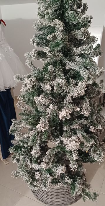 Árvore de Natal  nova