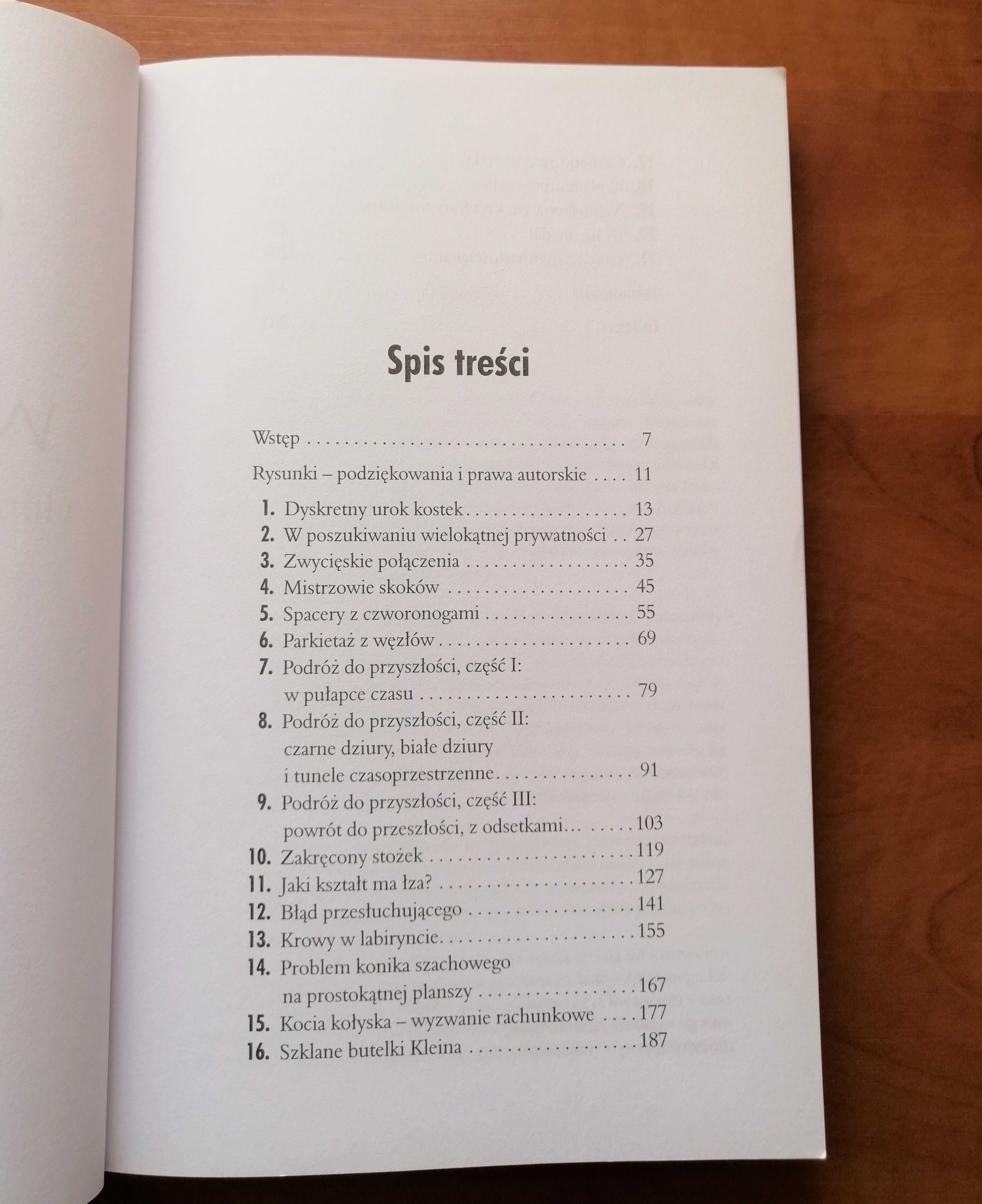 Książka „Krowy w labiryncie i inne eksploracje matematyczne”, stan bdb