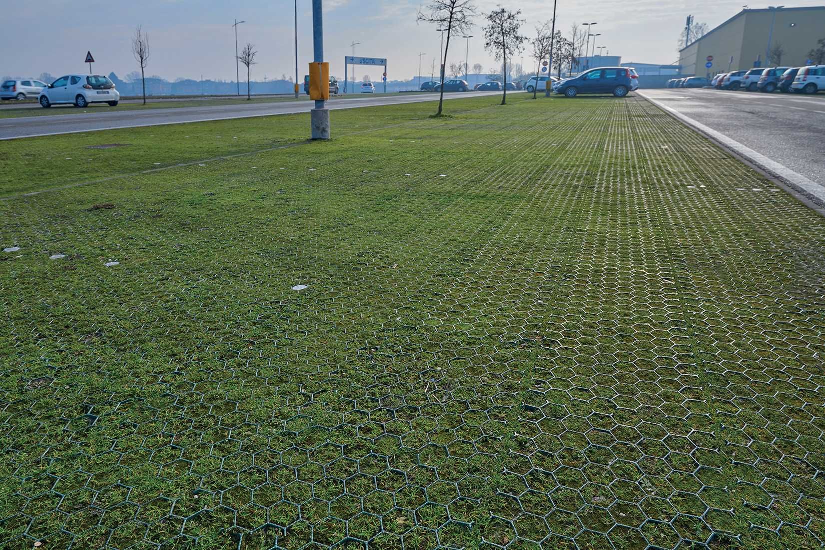 Grelha de Enrelvamento (Jardim, Estacionamento, Estrada, Caminho)