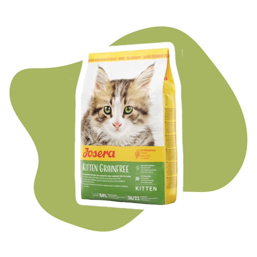 Josera Kitten GrainFree dla kociąt 10kg Kocięta karma sucha