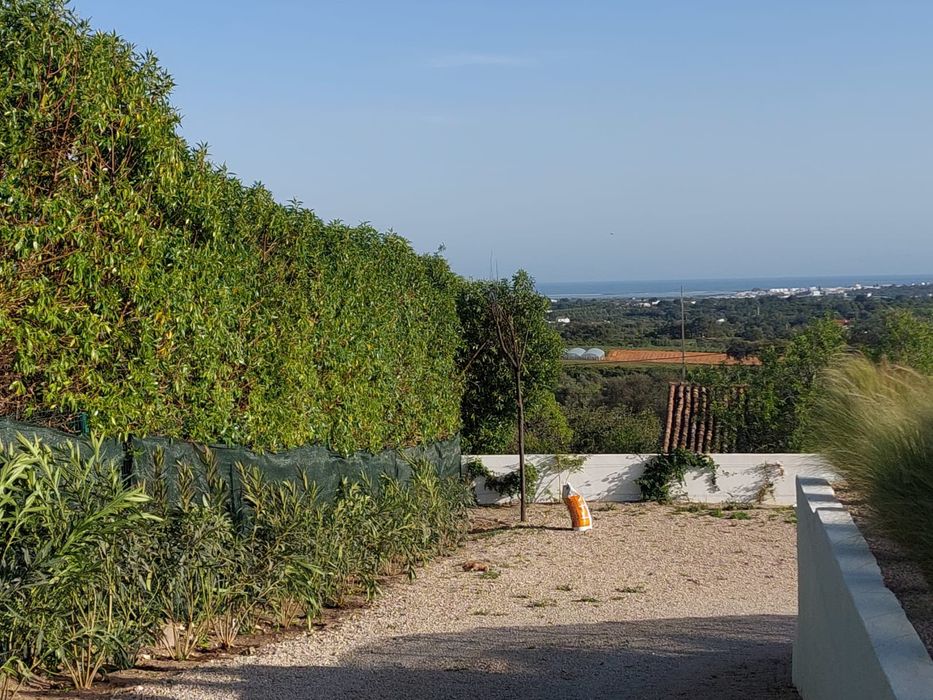 Manutenção de jardins e limpezas de terrenos