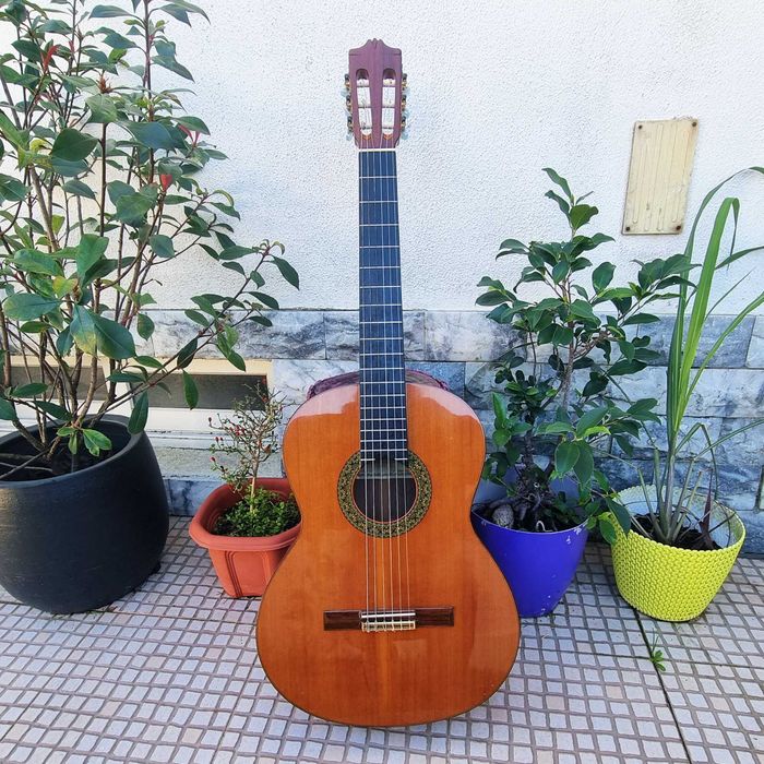 Guitarra Alhambra 5P com setup feito