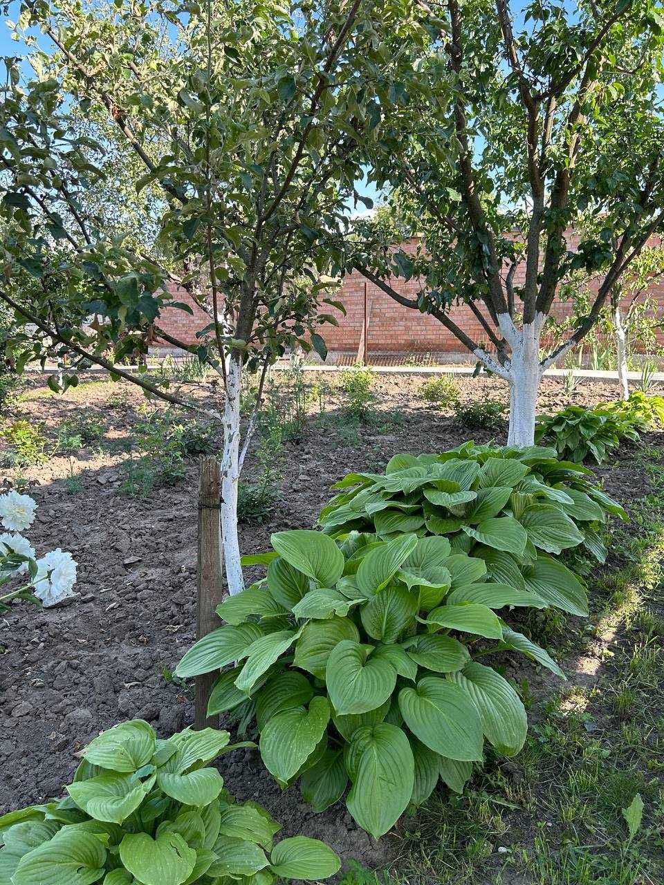 Продаж дачі в межах Полтави, 6 соток, будинок 25 м²
