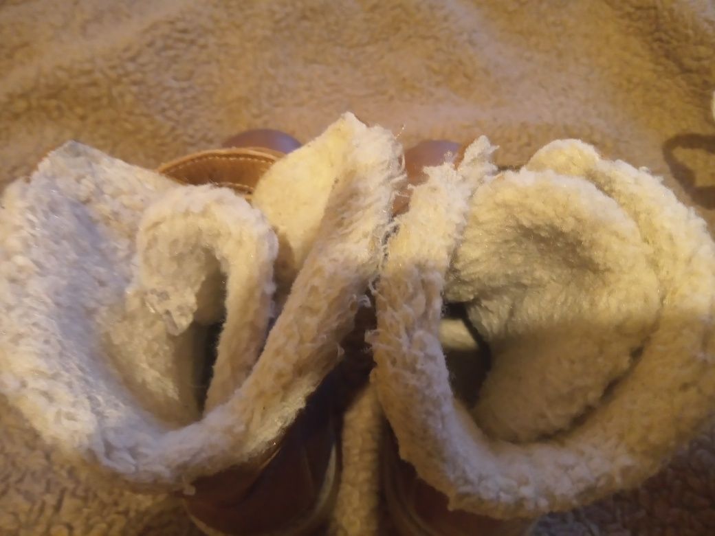 Trapery zimowe Lasocki