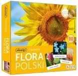 Memory - Flora Polski. Adamigo