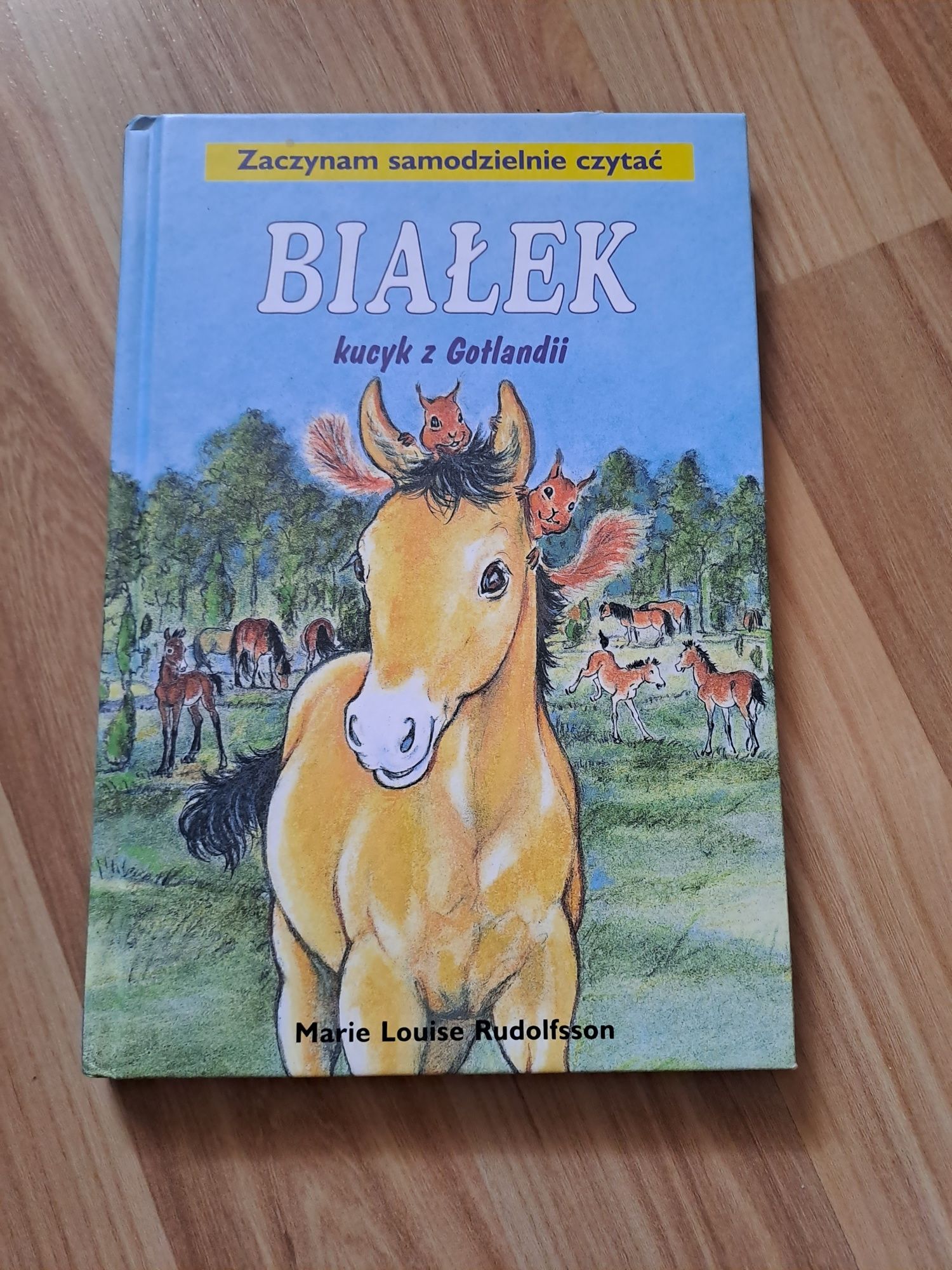 Białek kucy z gotlandii
